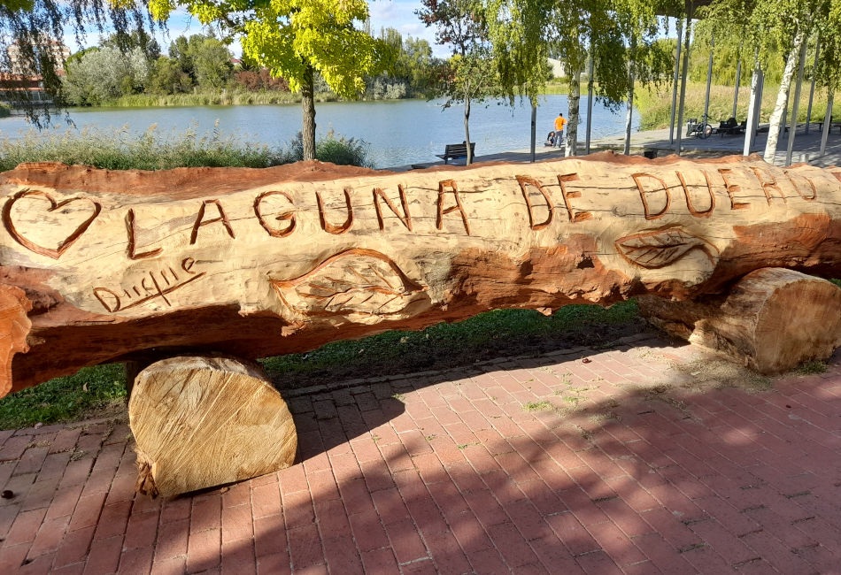 Servicio Técnico en Laguna de Duero